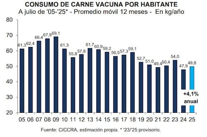 El consumo de carne vacuna a julio, con el promedio de los últimos doce meses desde 2005