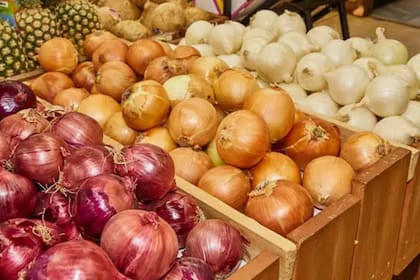 El consumo de cebolla se considera beneficioso para la salud por tener propiedades diuréticas, según la Organización de las Naciones Unidas para la Agricultura y la Alimentación (FAO) (Foto Unsplash)