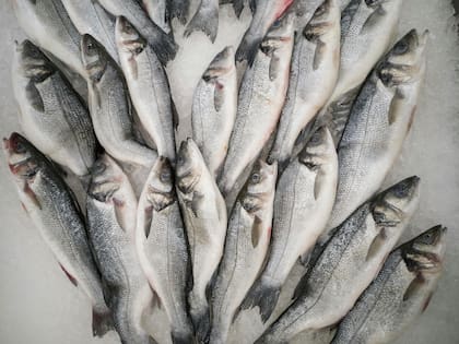 El consumo de pescado semanalmente puede contribuir con el consumo de omega-3