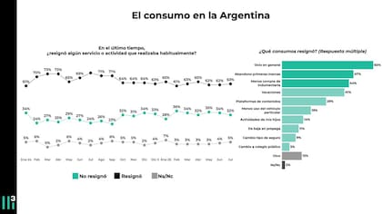 El consumo en la Argentina