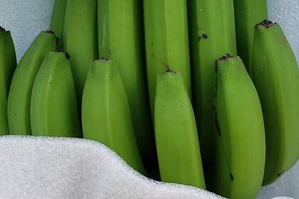 El consumo per cápita anual de banana en la Argentina es de 12,2 kilos, mientras que en el mundo es de 8,5