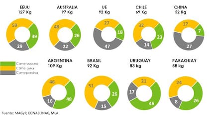 El consumo por habitante de las tres carnes: vacuna, aviar y porcina. La Argentina lidera en carne vacuna y está segunda considerando las tres carnes
