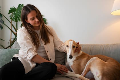 El contacto visual y físico con un canino dispara la producción de oxitocina, conocida popularmente como la “hormona del amor” o del vínculo