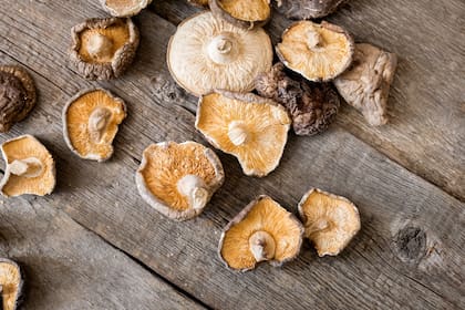 El contenido proteico del shitake es comparable con el de la de carne, con menor contenido de lípidos y mayor cantidad de fibra