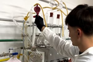 Un científico invirtió US$20.000 en un desarrollo para tener mejores vinos