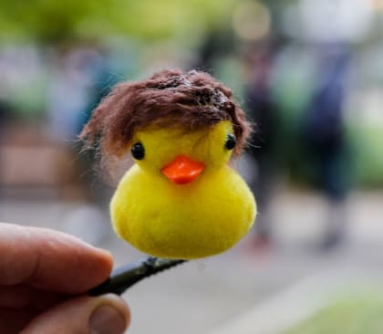 El cordobés que vendía patitos con pelo a lo Milei en la plaza Roma los promocionaba como “Milei y Pato. La mejor fusión contra la casta”.