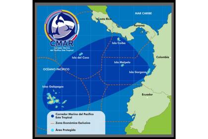 El Corredor Marino del Pacífico Tropical Oriental es una de las áreas de conservación de vida marina más grande del planeta