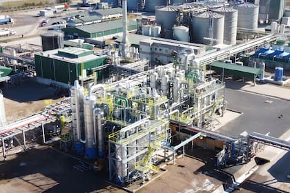 El corte del bioetanol es del 12%