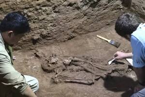 Descubren que los humanos hacían cirugías hace 31.000 años
