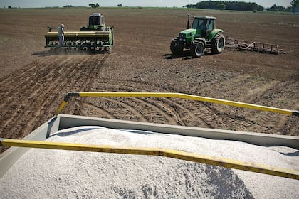 El costo de los fertilizantes es un tema clave para los productores de trigo
