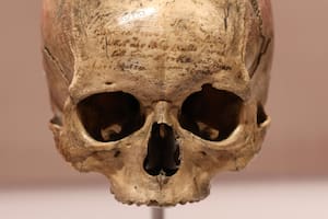 ¿Dónde estaba el cráneo que alojaba una de las mentes más brillantes de Francia?