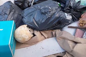 Estupor por un macabro hallazgo en un contenedor de residuos