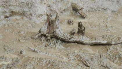 La zona estuvo densamente poblada en el pasado