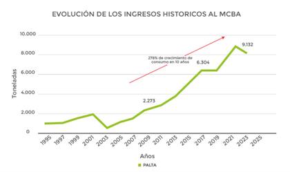 El crecimiento de la palta en los últimos 10 años