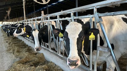 El crecimiento de la producción se apoyó en mejores precios y relaciones de costos durante gran parte del año