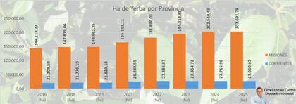 El crecimiento de los yerbales en 40% en los últimos nueve años (2016-2025), se considera la raíz del problema del bajo precio de la hoja verde. Sin embargo, es por esto que muchos piden un INYM que intervenga entre el pequeño productor y el gran industrial para equilibrar un poco las fuerzas. "Es un oligopsonio, el libre mercado no funciona", dice Hugo Sand.