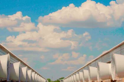 El criadero tiene la última tecnología para esta clase de establecimientos