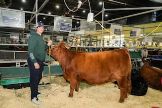 Son de la Patagonia y llegaron a Buenos Aires para competir con los números uno de Angus