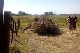 Dos nuevos crímenes llevan a 31 la cifra de femicidios de este año