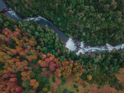 El cruce a Chile por Hua- Hum en otoño
Gentileza @huilohuilo_reservabiologica