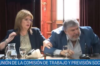 El video del fuerte cruce entre Mayans y Bullrich en el Senado