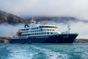 En qué consiste y cómo prevenir el hantavirus, la enfermedad por la que murieron tres pasajeros en un crucero que salió desde la Argentina