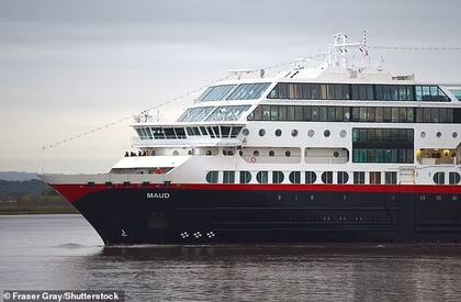 El crucero que fue golpeado por la ola (Foto: Mail Online)