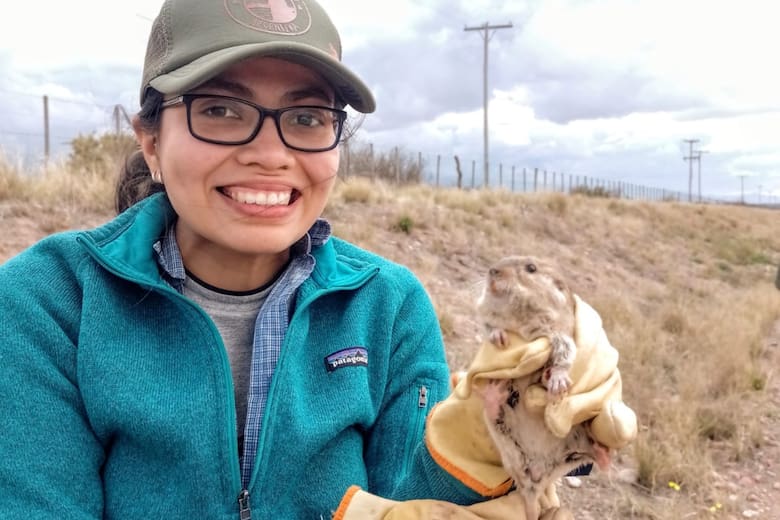 Descubren una nueva especie de roedor en el Valle de Uco: el Ctenomys Uco