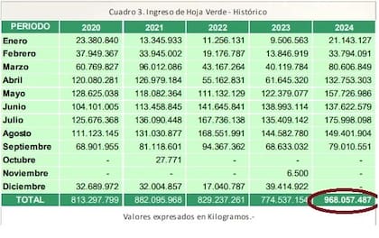 El cuadro divulgado por el INYM muestra los datos de la cosecha de hoja verde 2024. Se estima que con el aporte de la zafriña que comienza en diciembre, superará los 1000 millones de kilos