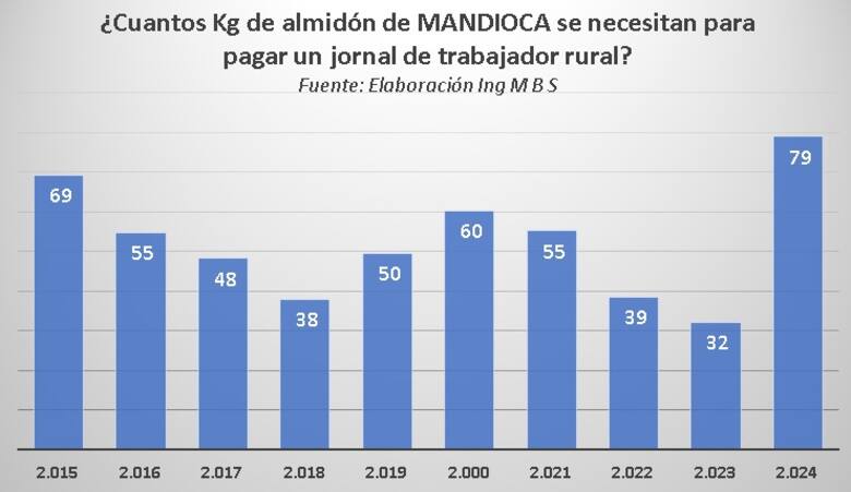 Preocupación en Misiones por la crítica situación de la mandioca