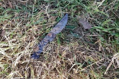 El cuchillo secuestrado