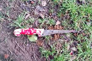 El cuchillo con el que el delincuente quiso robar a la pareja de adolescentes