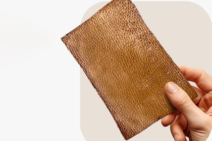 El "cuero" creado en base a hongos y residuos orgánicos