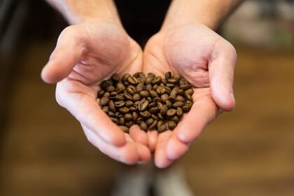 El cuidado desde la selección de los granos hasta la taza, una de las máximas de estas cafeterías.