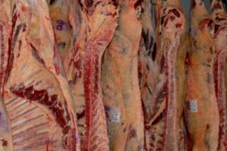 Carne: entre los planes de crecimiento y las revisiones del Gobierno