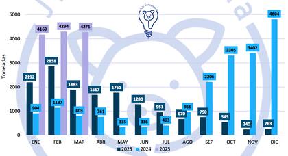 El dato es revelador: cuando se compara lo importado en los tres primeros meses de 2024 contra mismo periodo de 2025, el aumento es el 348%