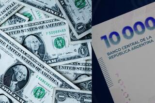 El bimonetarismo reabre un debate espinoso