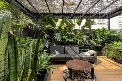 El deck (Alpa) es de WPC (Wood Plastic Composite), un material que combina madera con polímeros reciclados. Pérgola (Techos.df).