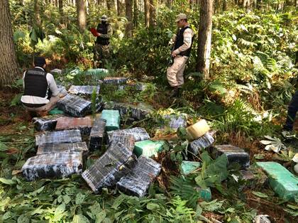 El decomiso de marihuana volvió al nivel observado en 2018