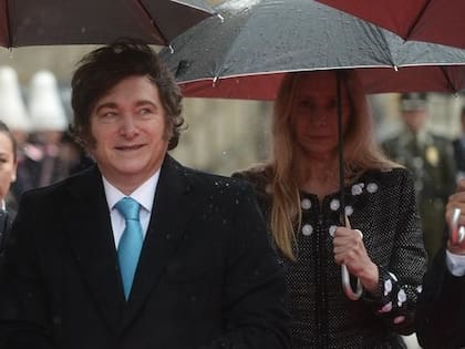 El decreto de Milei impide al INYM establecer distorsiones en el mercado