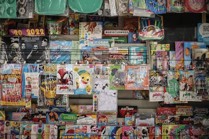 El decreto lleva la firma del presidente Javier Milei y la ministra Sandra Pettovello