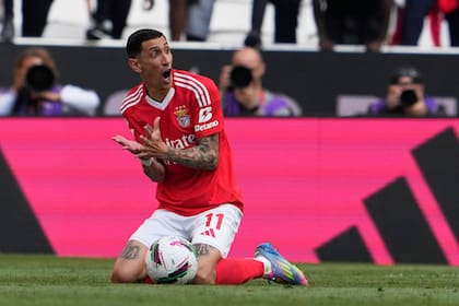 El delantero viene de jugar en el equipo portugués Benfica