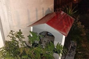 Atraparon a un ladrón de automóviles que se había escondido en una cucha de perro