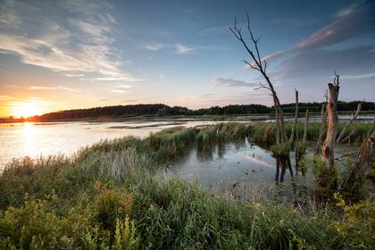 El delta de Peenestrom es considerado el “Amazonas del Norte”.