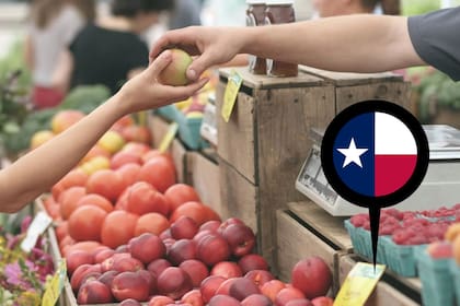El departamento de agricultura de EE.UU. comparte las fechas del envío de cupones del SNAP en Texas (Pexels/Erik Scheel)