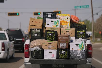 El Departamento de Comercio de EE.UU. reportó importaciones mexicanas de verduras, frutas y aguacates por miles de millones de dólares anuales