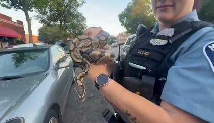 El Departamento de Policía de Minneapolis aclaró en su comunicado que ningún oficial, conductor o pasajero resultó herido durante el incidente (Foto del Departamento de Policía de Minneapolis)