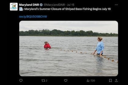 El Departamento de Recursos Naturales de Maryland cerró la temporada de pesca de lubina rayada y la reabrirá el 1 de agosto