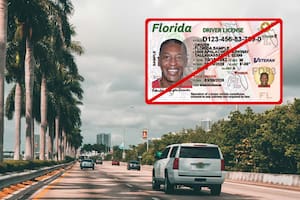 Las licencias de conducir que pierden validez automáticamente al pisar Florida