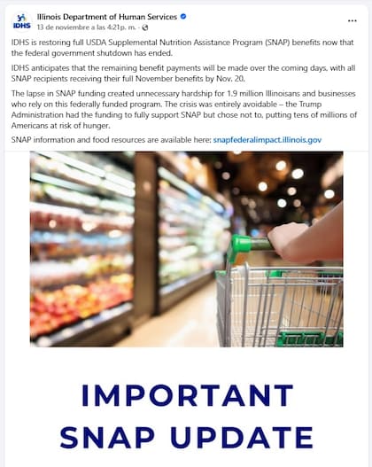 El Departamento de Servicios Humanos de Illinois anunció que los beneficios del SNAP volverán a entregarse a los 1,9 millones de habitantes que son parte del programa (Facebook/Illinois Department of Human Services)